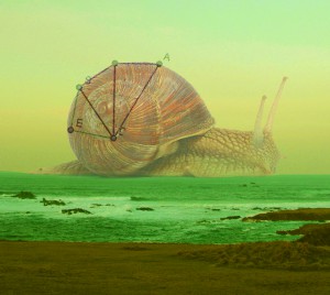 visuel lentonia